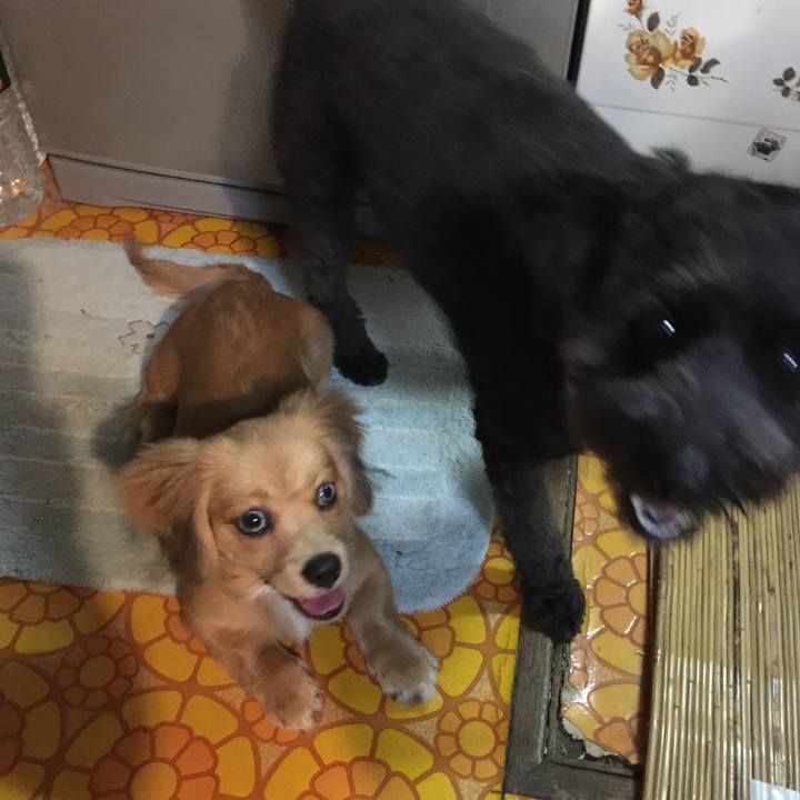 0f045c2d 9a09 47d1 8864 ebd6799344b6