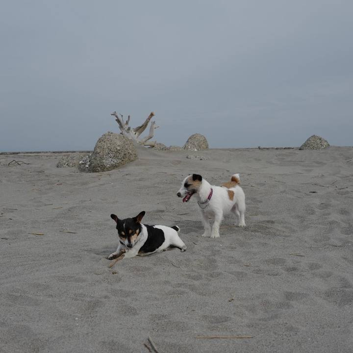 0f045ccd 6b0f 48e4 a557 8d3d7dccda2b