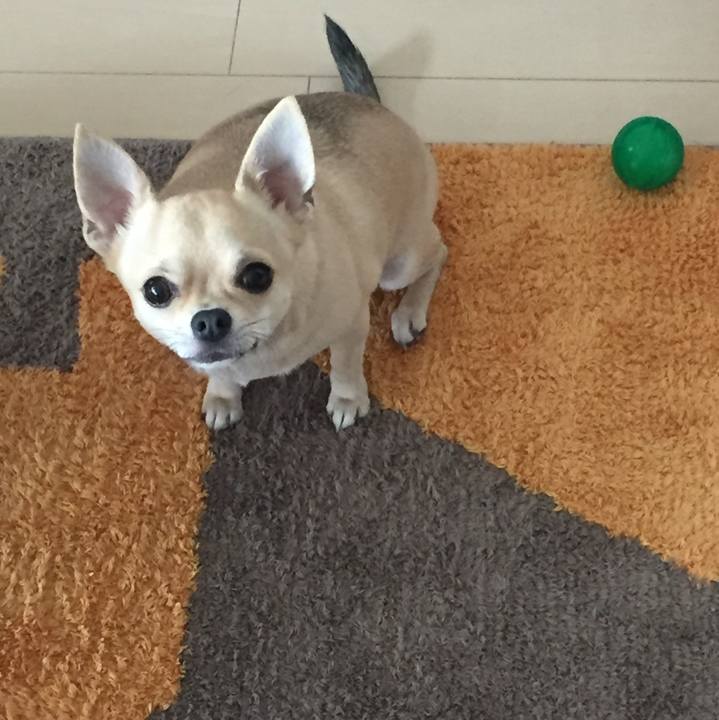 0f0497fb 960a 4133 8074 5962d9746215