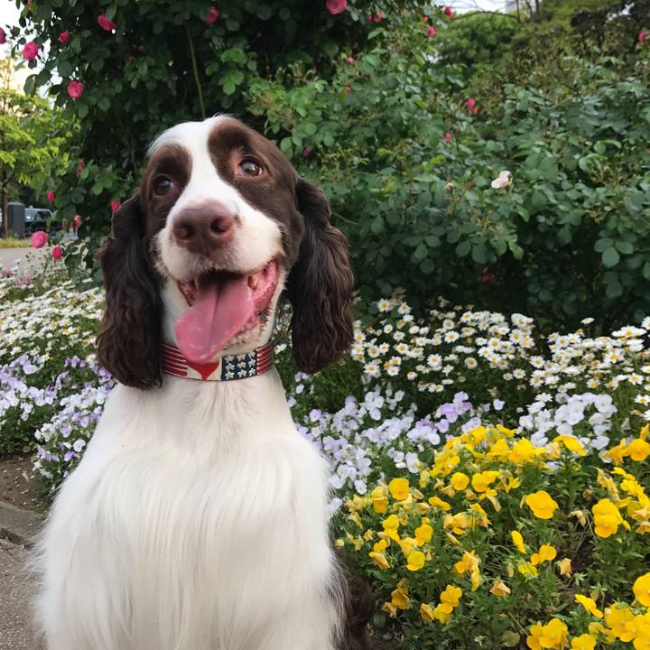 0f04e9ef 509c 4767 8314 81e588517740