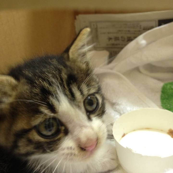 0f05a7cb 3532 4434 98d6 278ca960d02b