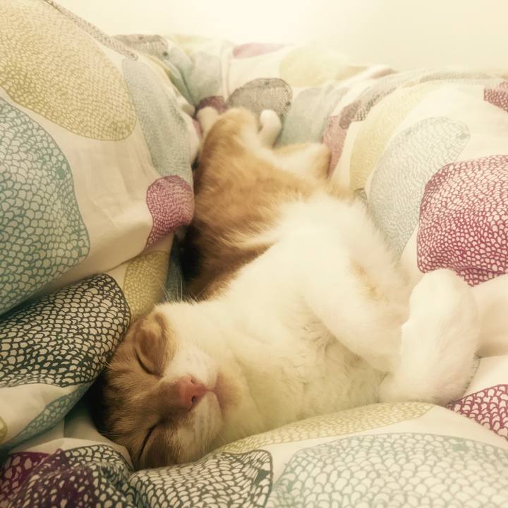 0f05b4d0 d357 44b8 a68d 556b087e195e