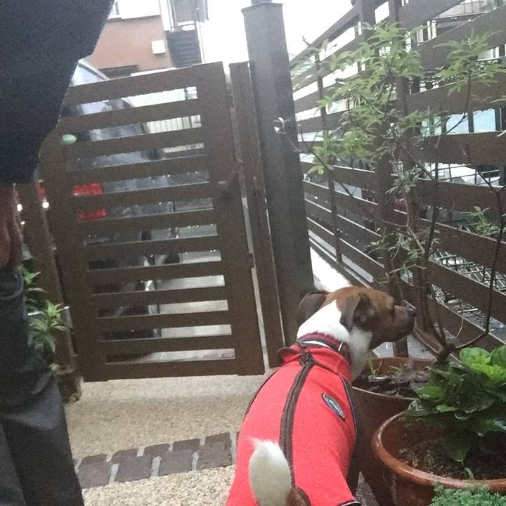 0f0663f2 ec43 4cf9 9280 c53e05cbb948