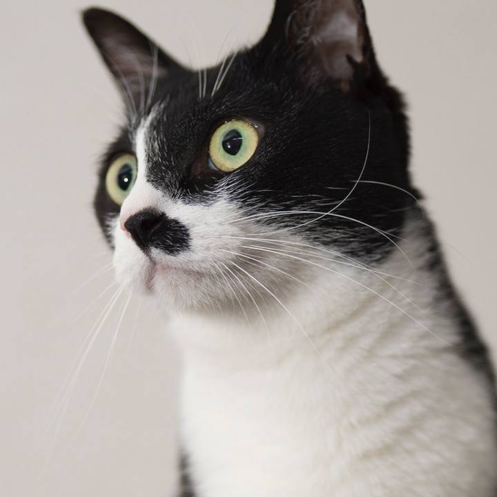 0f07a3ec d21a 4821 b512 4589d7c54d10