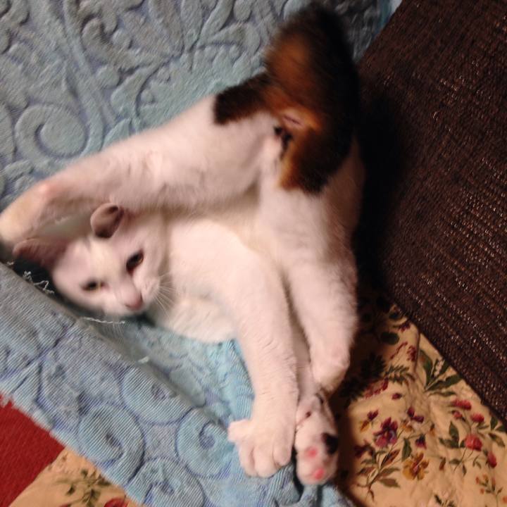 0f07abfb d7a3 49ad be34 d8a5732a0385