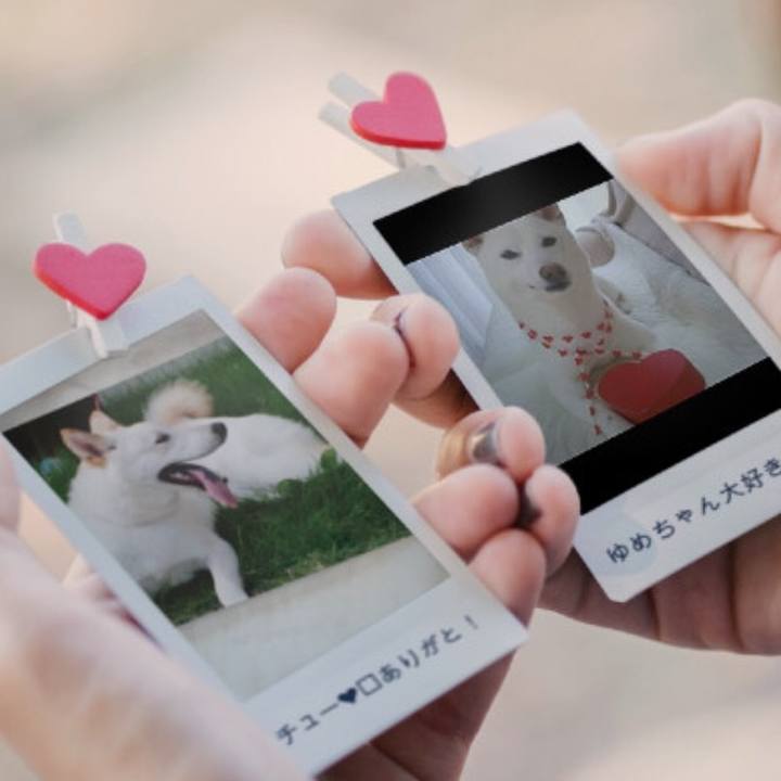 0f07e00a 0bef 4d26 9383 3210eeb2cc9f