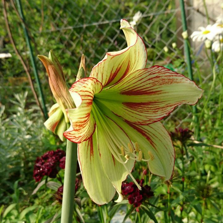 0f07f636 a618 4714 96f2 9f913e9573df