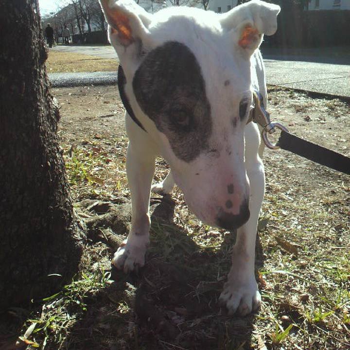 0f07f8b0 f24c 4452 b116 271e0a4d627f