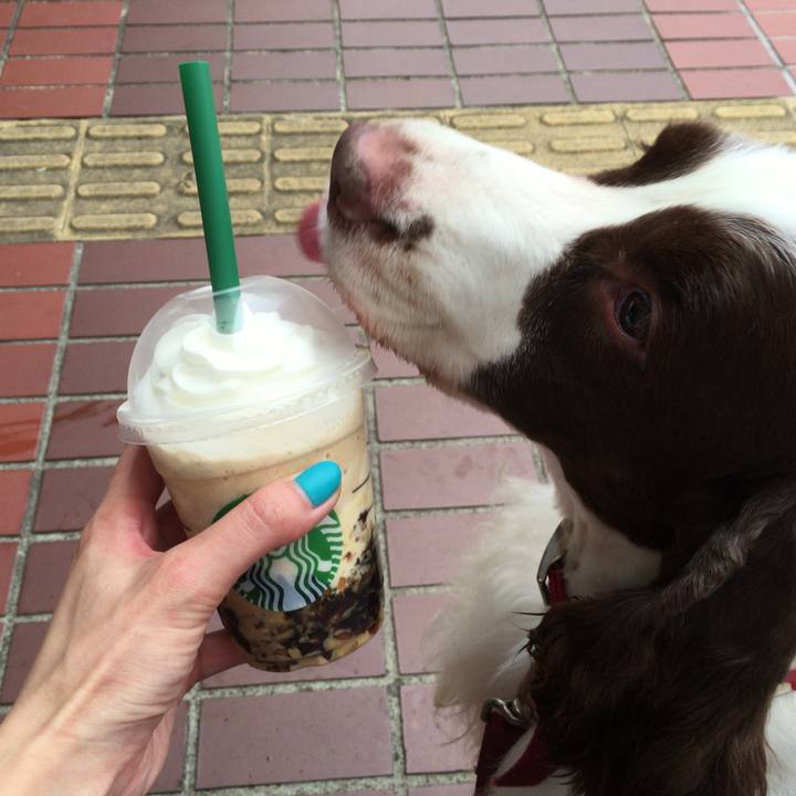 0f0825aa 5330 4604 9129 4149414cef15