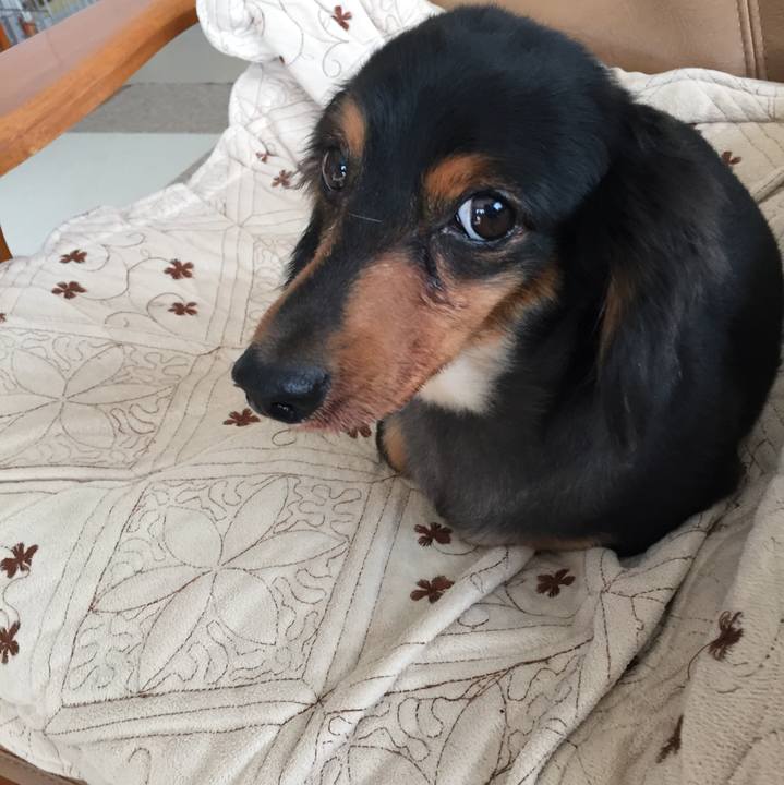 0f0a03db 1d97 4f7b 8737 1b476e747262