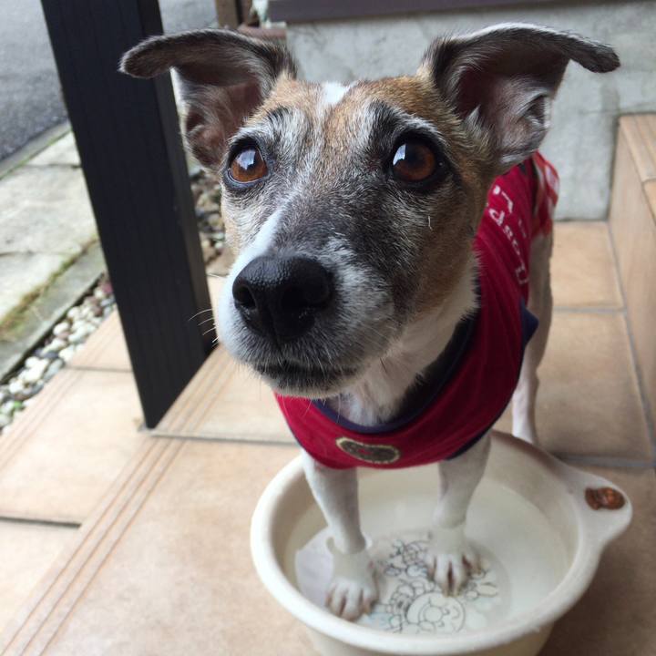 0f0a5bb9 325c 4f91 96d5 16a4cba9db06