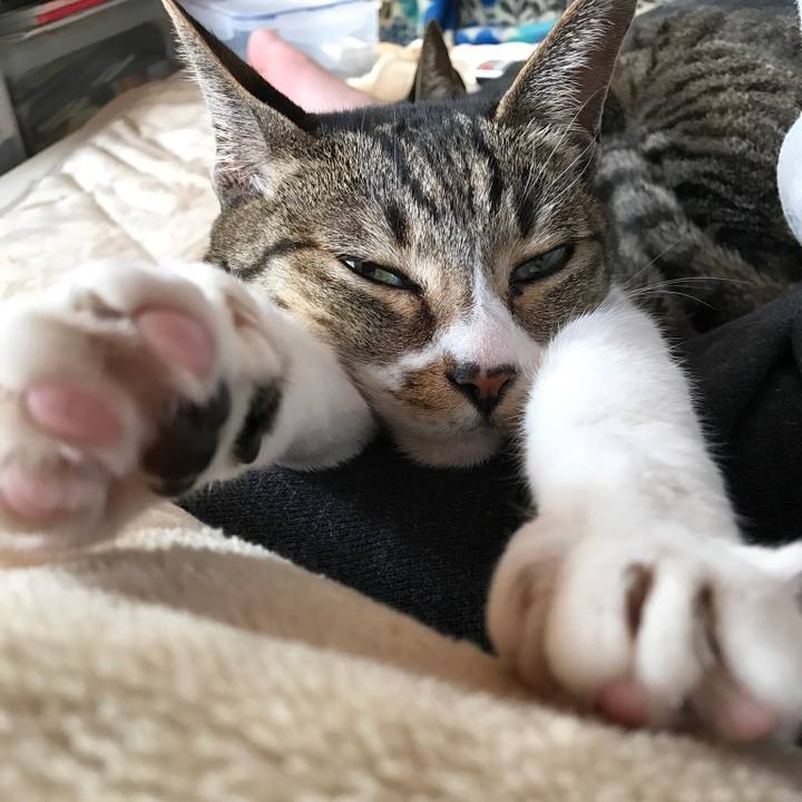 0f0ad831 2eed 4d81 ba60 d0d8c6d24bc2