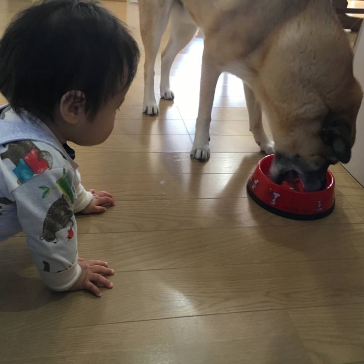 0f0b10e2 d877 44ea 9ef9 b2aeb792d8fc