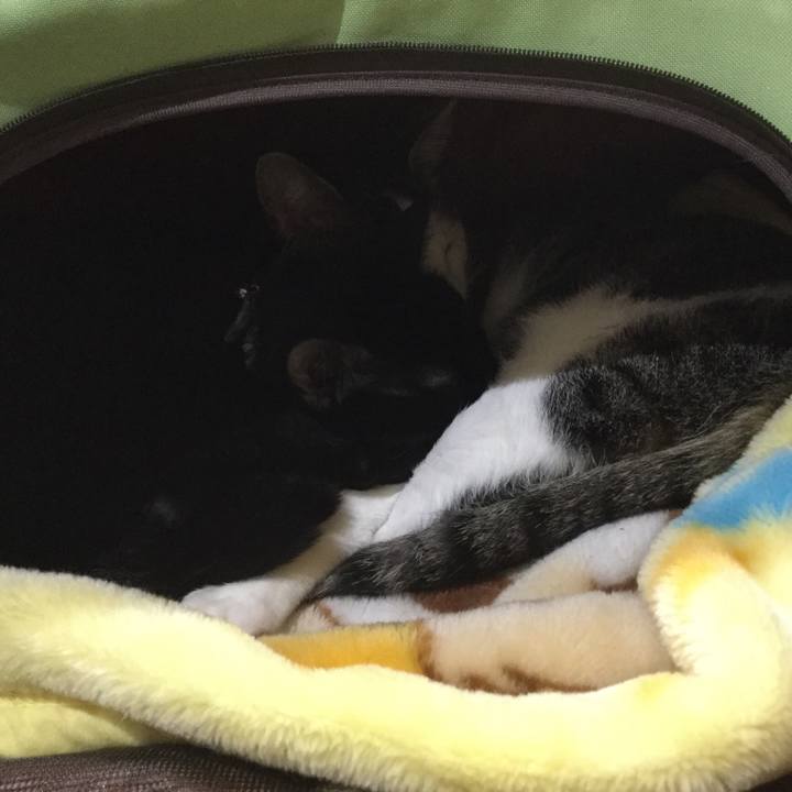 0f0b668b 750e 42fa bbdf 7541b463511c