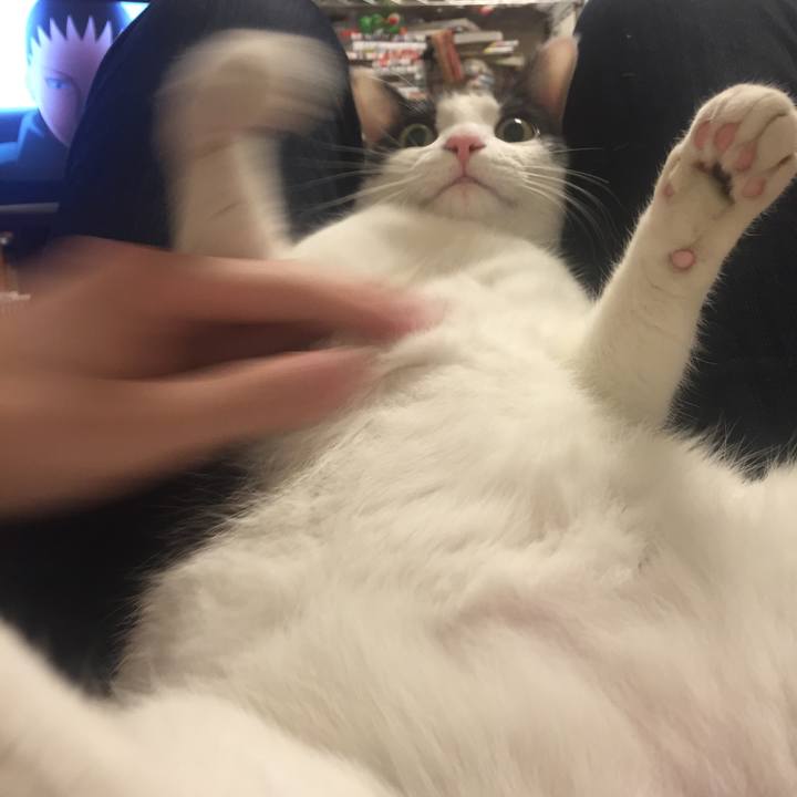 0f0baf6a 9c6a 41b7 aa3f 13306838d4a1