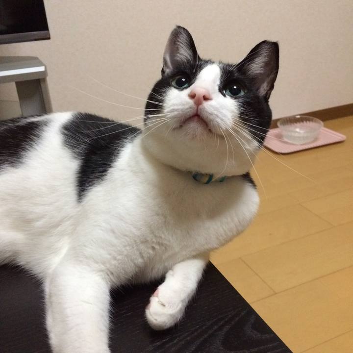 0f0c89fa 8e89 4cf9 b80b 4048db31b06d