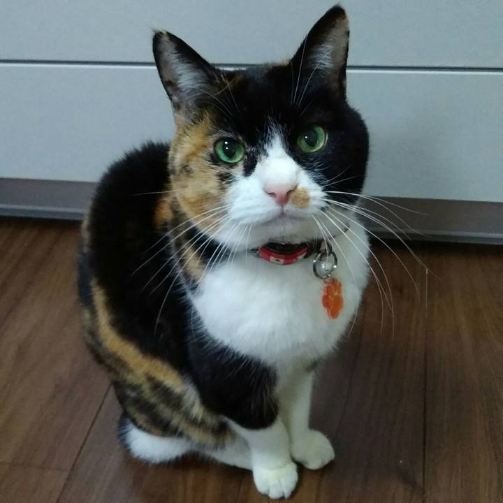 0f0c8f11 90f9 4a48 9b04 e9ed251baf0b