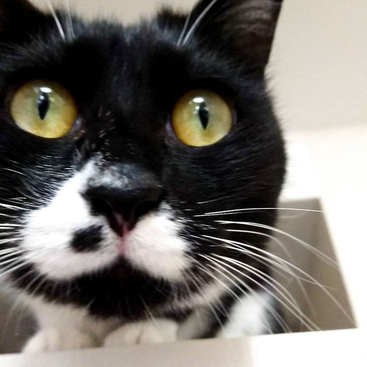 0f0ddee8 993d 4ca2 a744 afdc90ed82a1