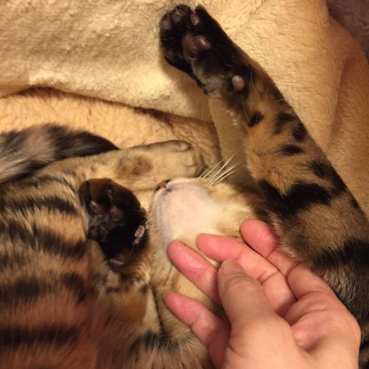 0f0e40cd 9155 4416 9d2e 5f6f89cb30e1