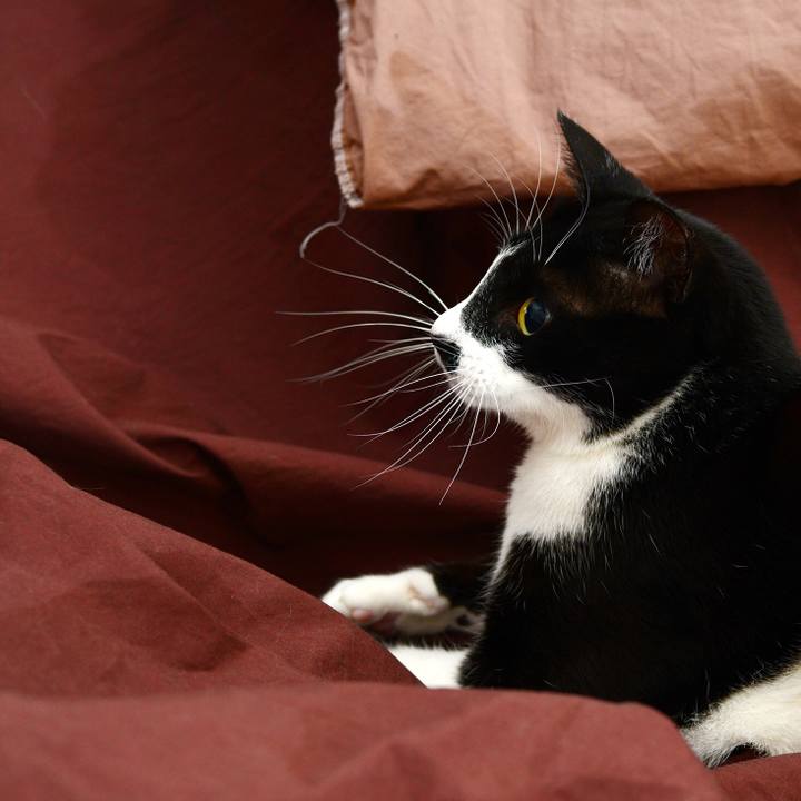 0f0e49d0 bc46 4e98 aa12 aca37b660700