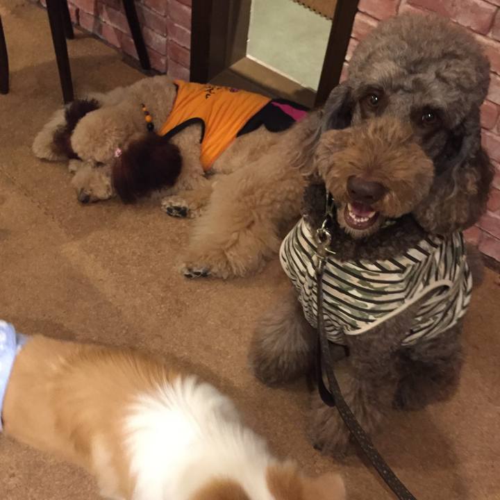 0f0fe03e 0d63 40ff 9bf7 12f7f9005655