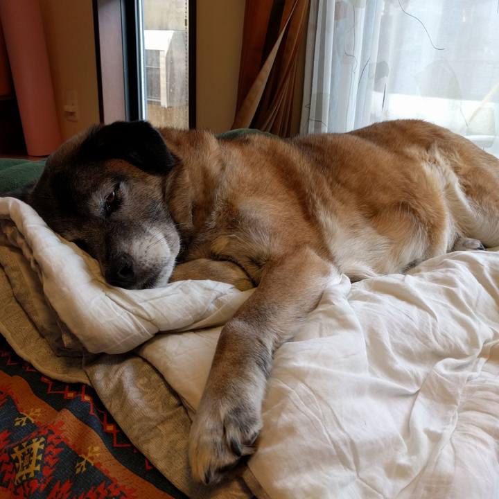 0f102a38 19f8 49cb 98ef fd3a1df2cd1e