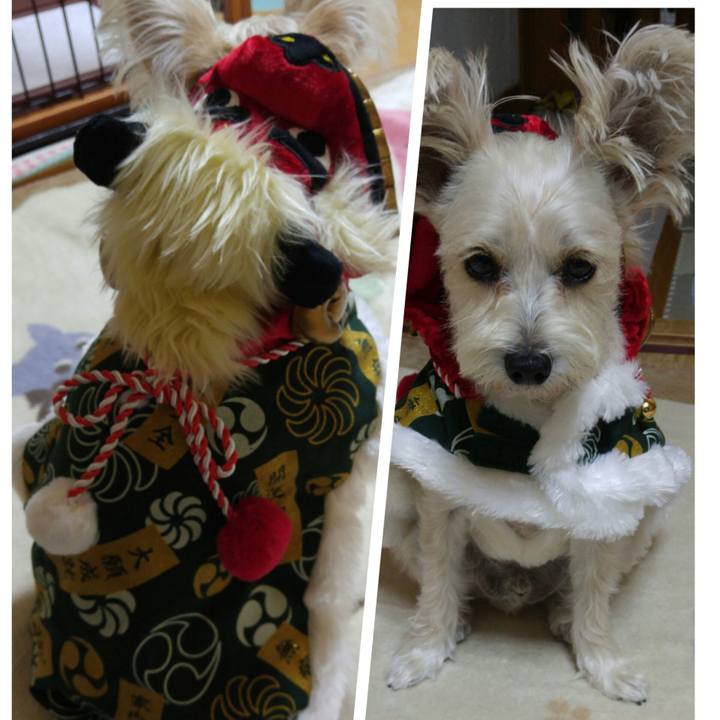 0f106717 7f01 4389 9815 5c897d99b2ed