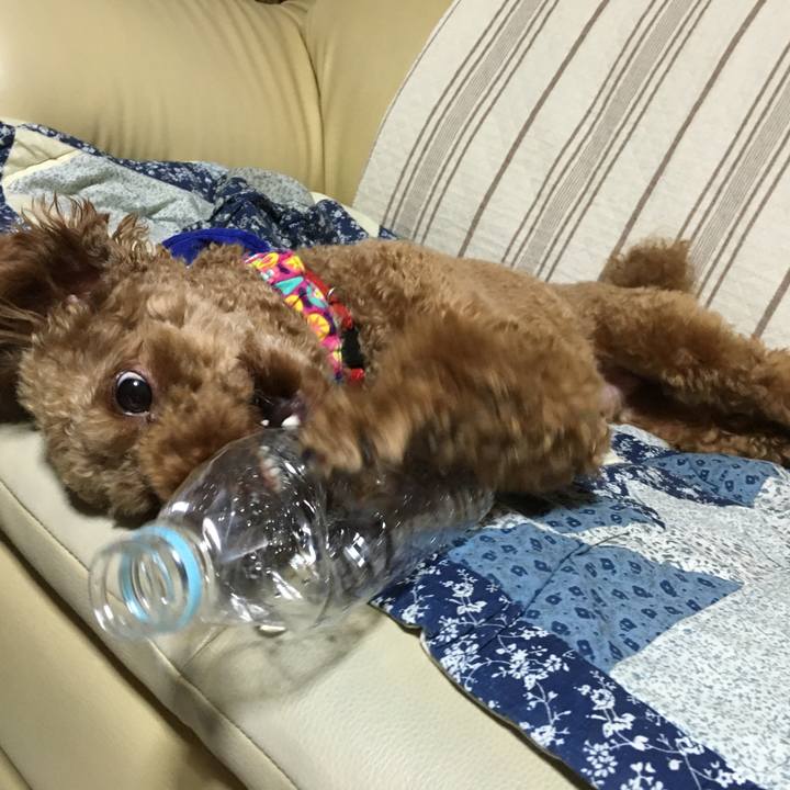 0f106b3c 341e 46e0 9c83 9170c7782fca