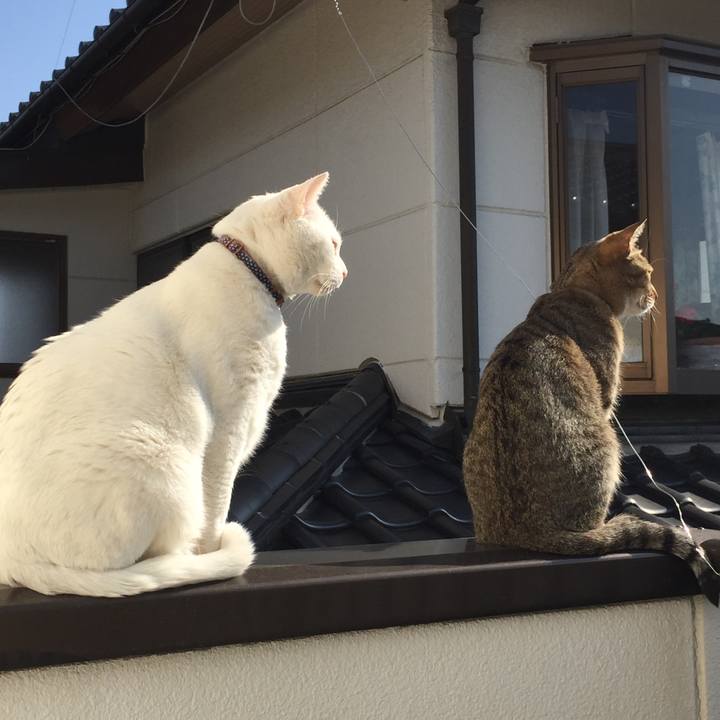 0f10a860 a182 494a bf5e bc9ecf7085bf