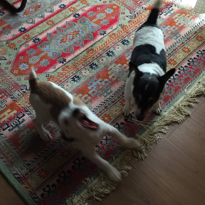 0f10fcea 968f 4d1c b002 c71f205637bc