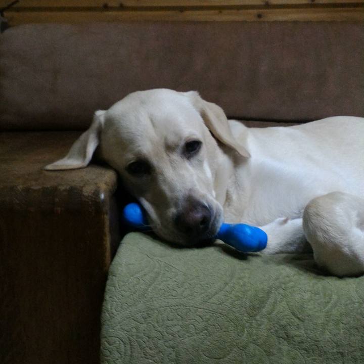 0f11200c 7369 44d3 9822 64252bbfa97b