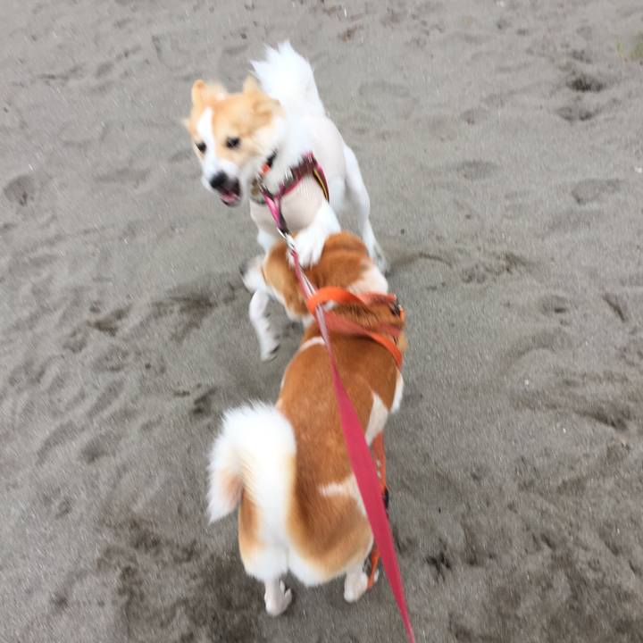 0f117d97 dfed 4e75 a0a8 74ecf8a51460