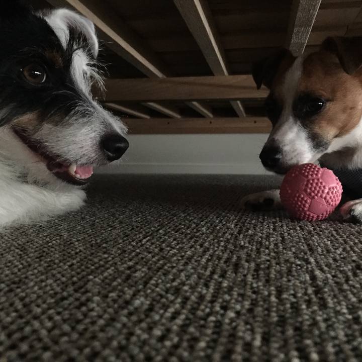 0f1193a2 e68f 402e a82f e739b46191ce