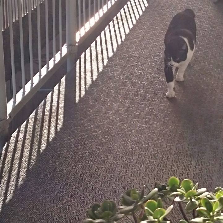 0f11bbd4 08cc 45d5 8495 c366052faaa3