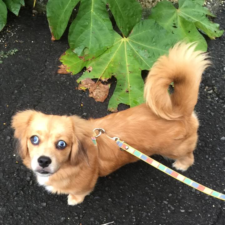 0f11c724 4b24 41ac 927e 009219276622