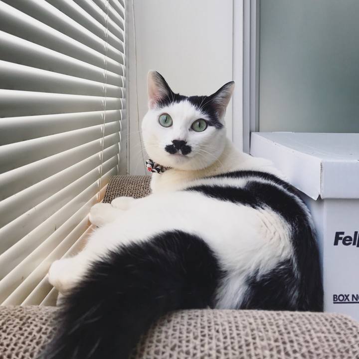 0f122578 c86c 4d19 9f09 9ece8d9f24ce