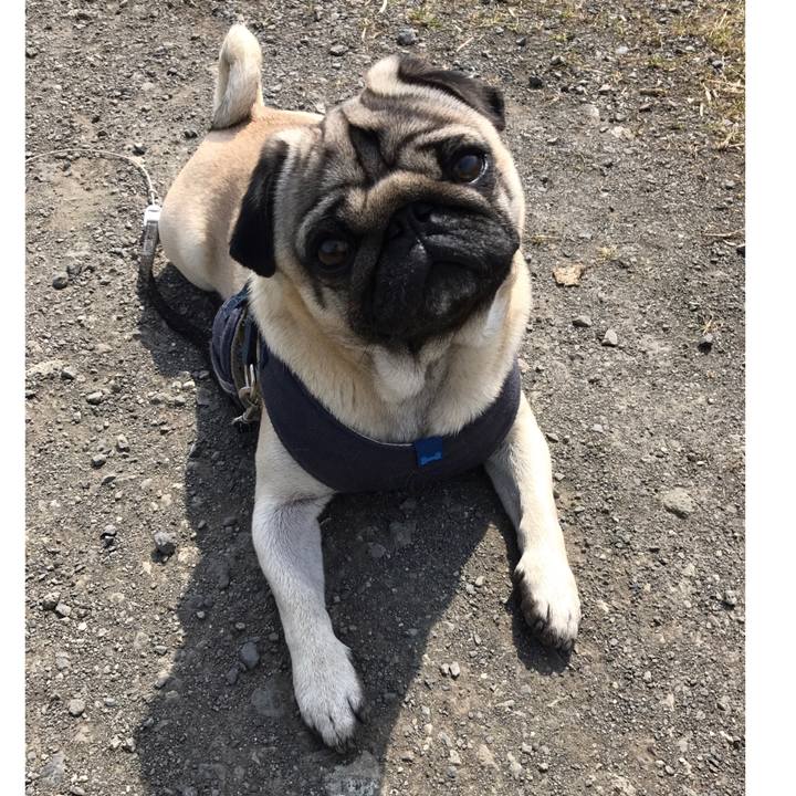 0f12a024 6456 44ed 85ca 6c1a33bc4956