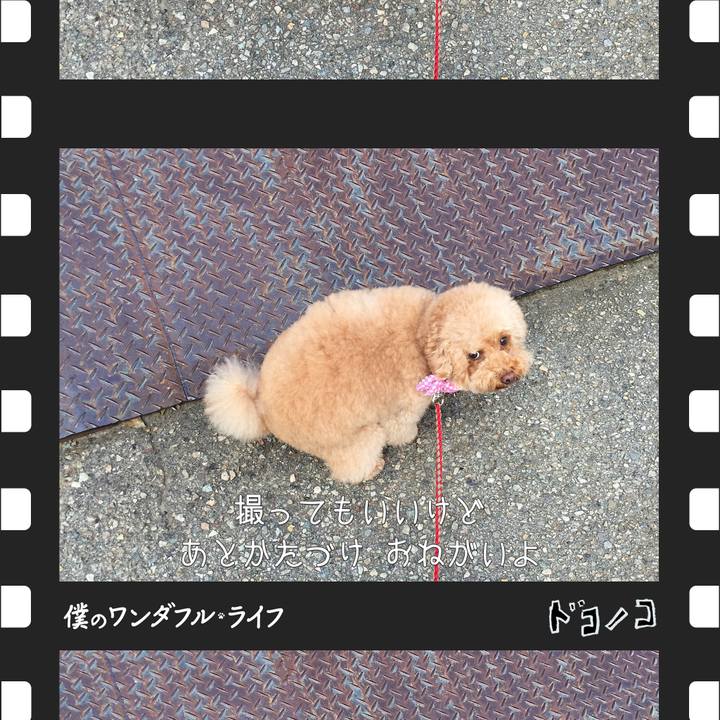 0f12dce8 7986 4b24 9474 19dc556af6eb