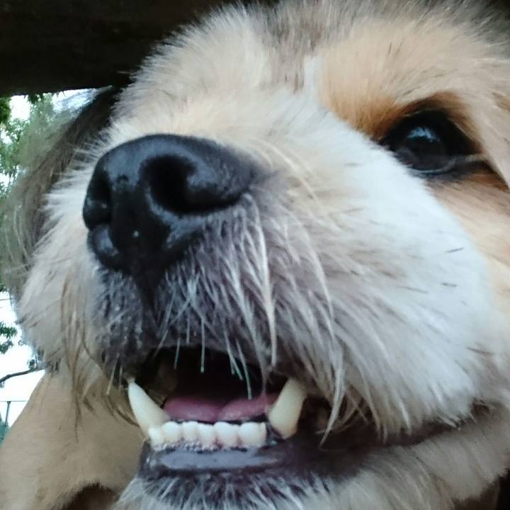 0f12dde5 c52a 40a7 bf9c 6cf04fb9b26a