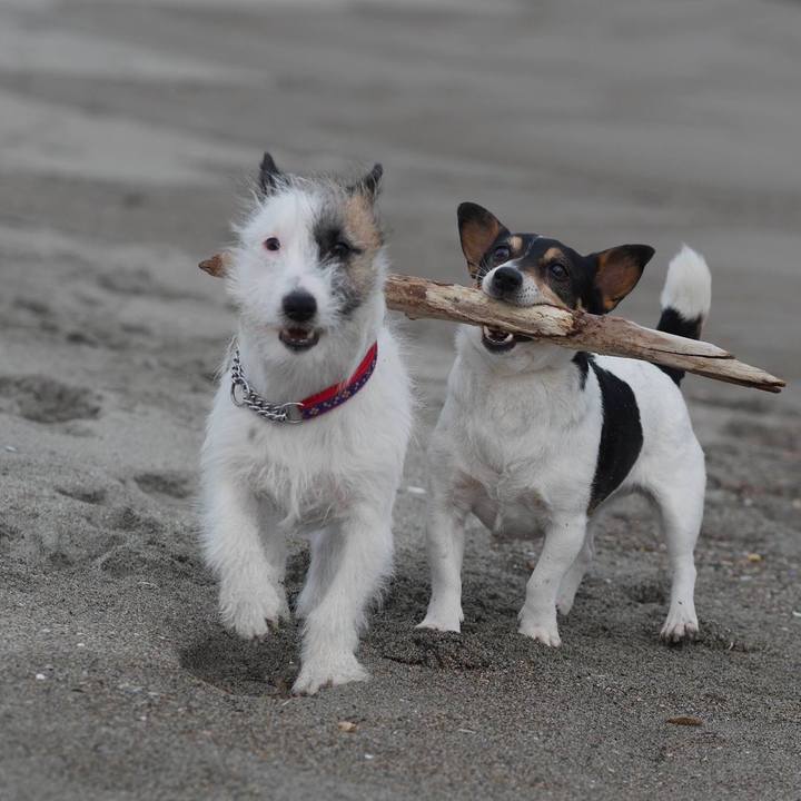 0f12f5a8 14a9 4606 92e3 05ae8513cdae