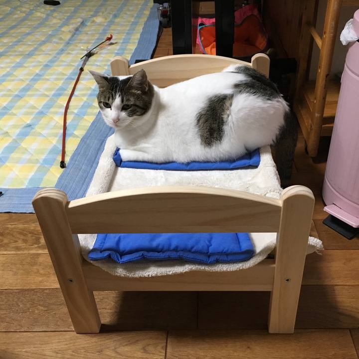 0f134f1a 3ac5 4755 9280 7e845cc615eb