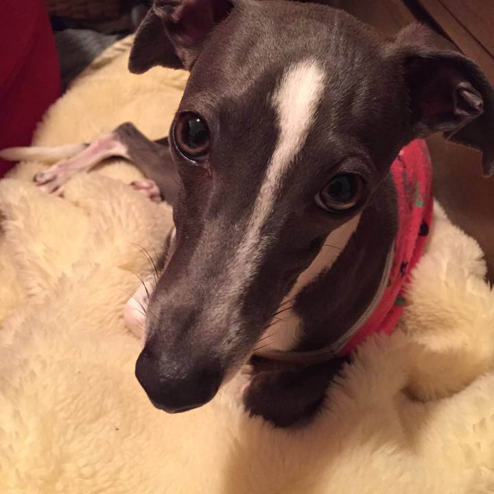 0f13a9ef 6d27 42f7 bfc5 e021c07a26fb