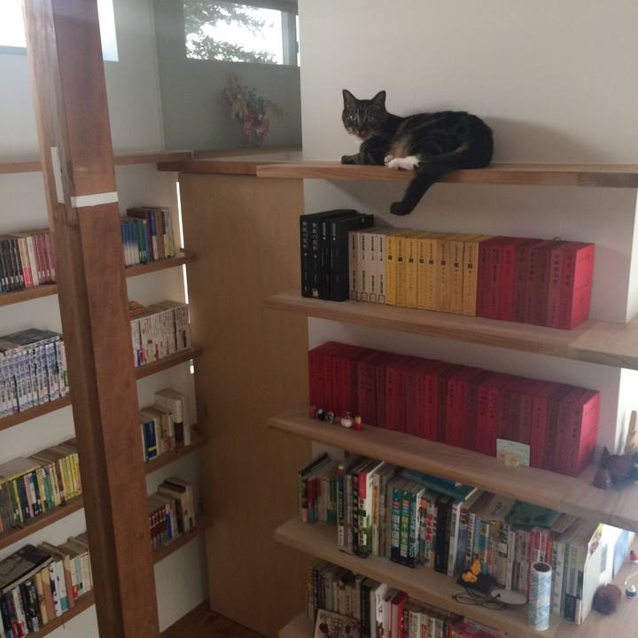 0f149112 831b 4083 a01b 410aced9574f