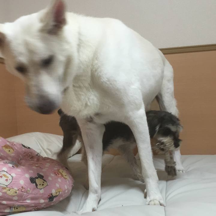 0f15e844 5116 46aa a221 c4319d8160ce