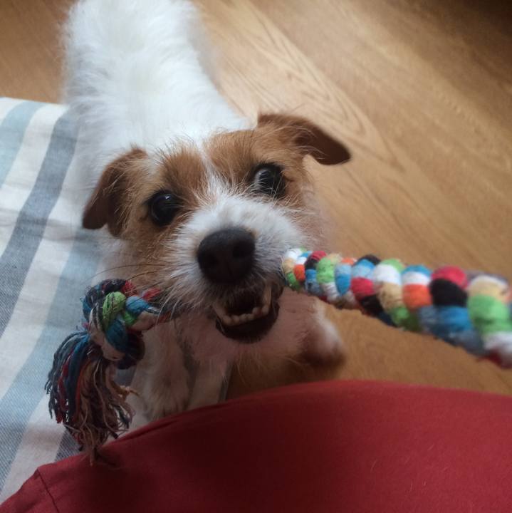 0f1680b0 ce4e 4bb7 b3f1 05549193abe7