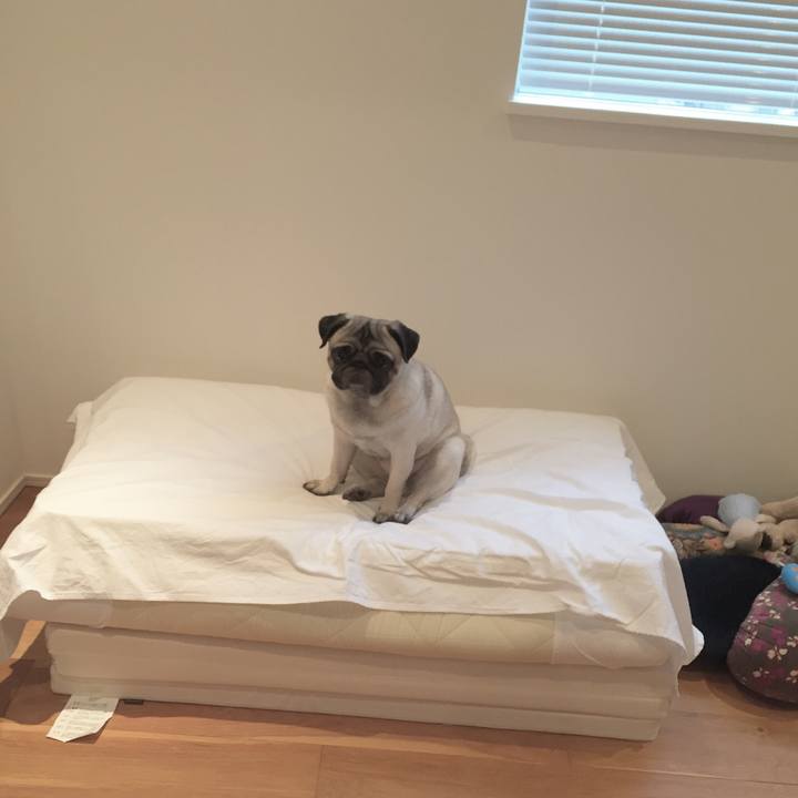 0f16e990 c55e 4ad3 8713 494b9bfdf7fc