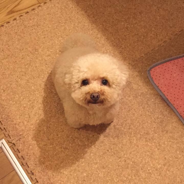 0f176614 1899 4e97 8939 bb57cf0655b4