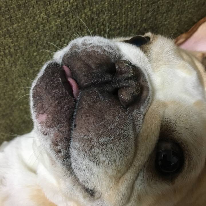 0f177203 7859 42eb b8fd f78ee9ea07c6