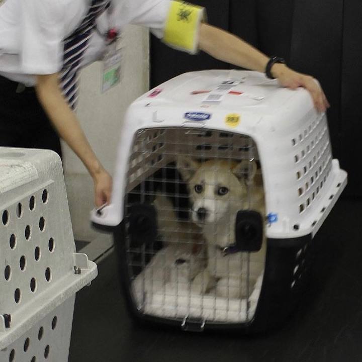 0f17bc4d 2e6c 4b8b b540 78694108bd1a