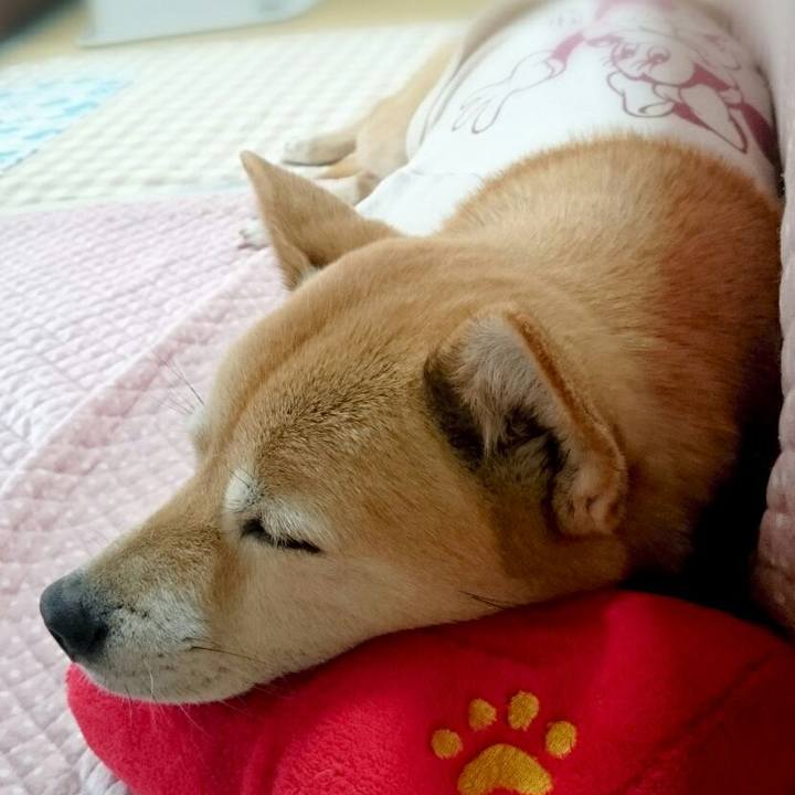 0f185642 88c2 499c a071 1f494e5e9d4c